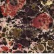 TUSKAR-MATRIARCH (CD)