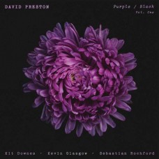 DAVID PRESTON-PURPLE / BLACK VOL.1 (CD)