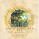RAFAEL PACHA-A BUNCH OF FOREST SONGS (CD)