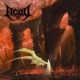 ACOD-CRYPTIC CURSE (CD)