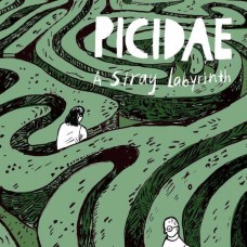 PICIDAE-A STRAY LABYRINTH (CD)