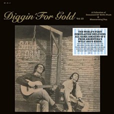 V/A-DIGGIN' FOR GOLD VOL.13 (LP)