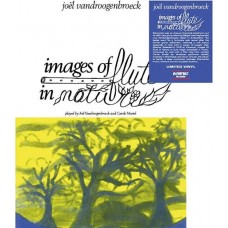 JOEL VANDROOGENBROECK-IMAGES OF FLUTE IN NATURE (LP)