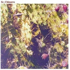 SR CHINARRO-SR CHINARRO (DEBUT) (LP)