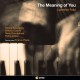 LUDOVICO FULCI-MEANING OF YOU (CD)