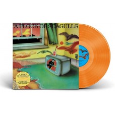 CONFLICT-IT'S TIME TO SEE WHO'S WHO (LP)