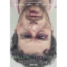 FILME-A MILLION LITTLE PIECES (DVD)