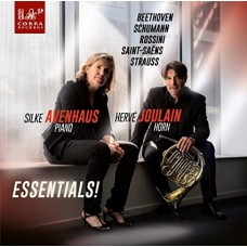HERVE JOULAIN/SILKE AVENHAUS-ESSENTIALS! (CD)
