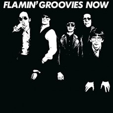 FLAMIN' GROOVIES-NOW -COLOURED- (LP)