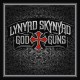 LYNYRD SKYNYRD-GOD & GUNS (LP)