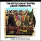 BEATLES-BEATLES AND SGT PEPPER: A FAN'S PERSPECTIVE (LIVRO)