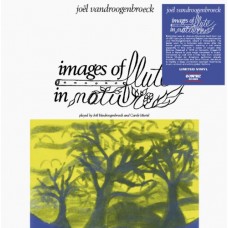 JOEL VANDROOGENBROECK-IMAGES OF FLUTE IN NATURE (LP)