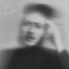DM STITH-FATA MORGANA (LP)