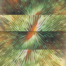 ACTIVE SURPLUS-MIRRORING (LP)