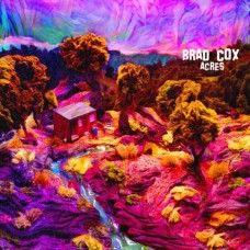 BRAD COX-ACRES (CD)