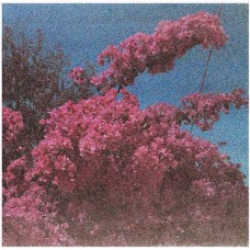 ELISABETH KLINCK-PICTURE A FRAME -COLOURED- (LP)