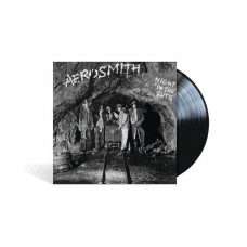 AEROSMITH-NIGHT IN THE RUTS -HQ- (LP)