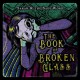 SARAH AND THE SAFE WORD-BOOK OF BROKEN GLASS (LP)