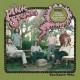 PINK STONES-YOU KNOW WHO (LP)
