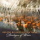 ALIO DIE & LORENZO MONTANA-DIALOGUE OF WATER (CD)