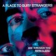 A PLACE TO BURY STRANGERS-SEE THROUGH YOU:  REREALIZED -COLOURED/RSD- (2LP)