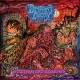 DRIPPING DECAY-FESTERING GROTESQUERIES -COLOURED- (LP)