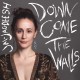 JAI-JAGDEESH-DOWN COME THE WALLS (CD)