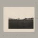 TOLERANCE-DIVIN 1981 (2LP)