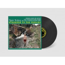 TAYLOR ASHTON-STRANGER TO THE FEELING (LP)