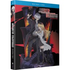 ANIMAÇÃO-ARIFURETA: FROM COMMONPLACE TO WORLD'S STRONGEST - SEASON 2 (2BLU-RAY+2DVD)