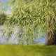 MARTIN SIMPSON/THOMM JUTT-NOTHING BUT GREEN WILLOW (CD)