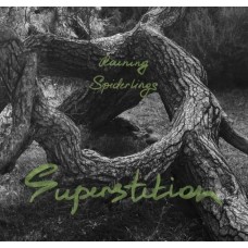 RAINING SPIDERLINGS-SUPERSTITION (CD)