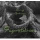RAINING SPIDERLINGS-SUPERSTITION (CD)