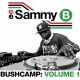 DJ SAMMY B-BUSHCAMP: VOLUME 1 (LP)