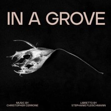 CHRISTOPHER CERRONE-IN A GROVE (CD)