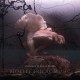MICHAEL PRIME-BIOELECTRICAL MUSIC (3CD)