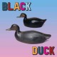 BLACK DUCK-BLACK DUCK (LP)