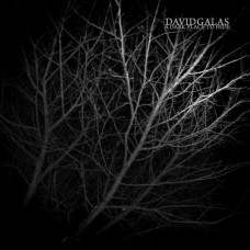 DAVID GALAS-A DARK PLACE TO HIDE (CD)