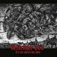DESTROYER 666-TO THE DEVIL HIS DUE -COLOURED/LTD- (LP)