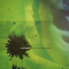 EIAFUAWN-BIRDS IN THE GROUND -COLOURED- (LP)