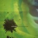 EIAFUAWN-BIRDS IN THE GROUND -COLOURED- (LP)