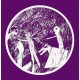ROOT FOLK BAND-RITUAL YEAR (7")
