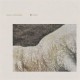 SOCCER COMMITTEE-LOVE/LAMB (LP)