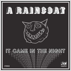 A RAINCOAT-IT CAME IN THE NIGHT/VOTE FOR ME (7")