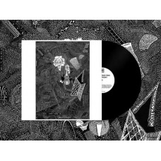 RUDIMENTARY PENI-CACOPHONY (LP)