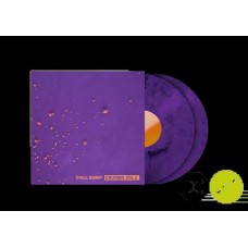 CHILL BUMP-CRUMBS VOL. 2 -COLOURED- (LP)