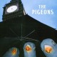 PIGEONS-BIRD BRAIN GANG (LP)