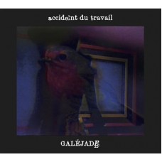 ACCIDENT DU TRAVAIL-GALEJADE (CD)