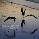 TINGVALL TRIO-BIRDS -HQ- (LP)