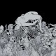BLIND DELON-LA METAMORPHOSE (LP)